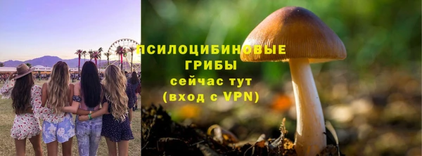 синтетический гашиш Вязьма