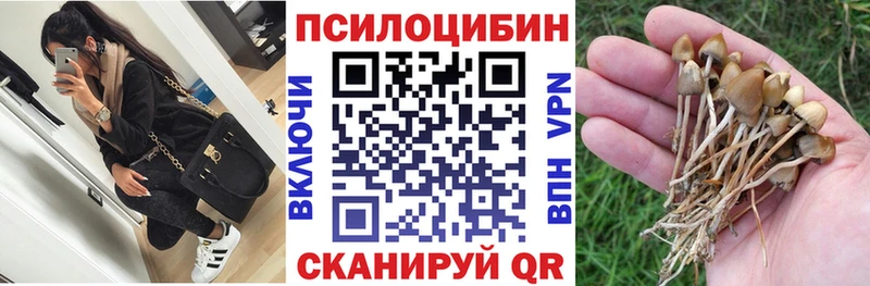 Псилоцибиновые грибы Magic Shrooms  где купить   Гдов 