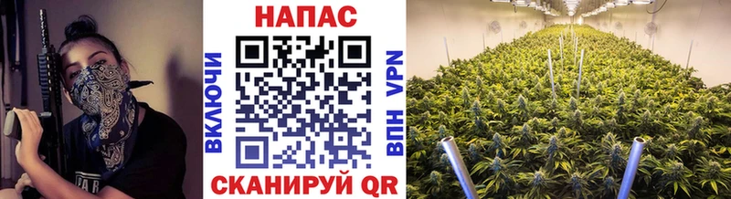 Бошки Шишки индика  ссылка на мегу ссылка  Гдов 